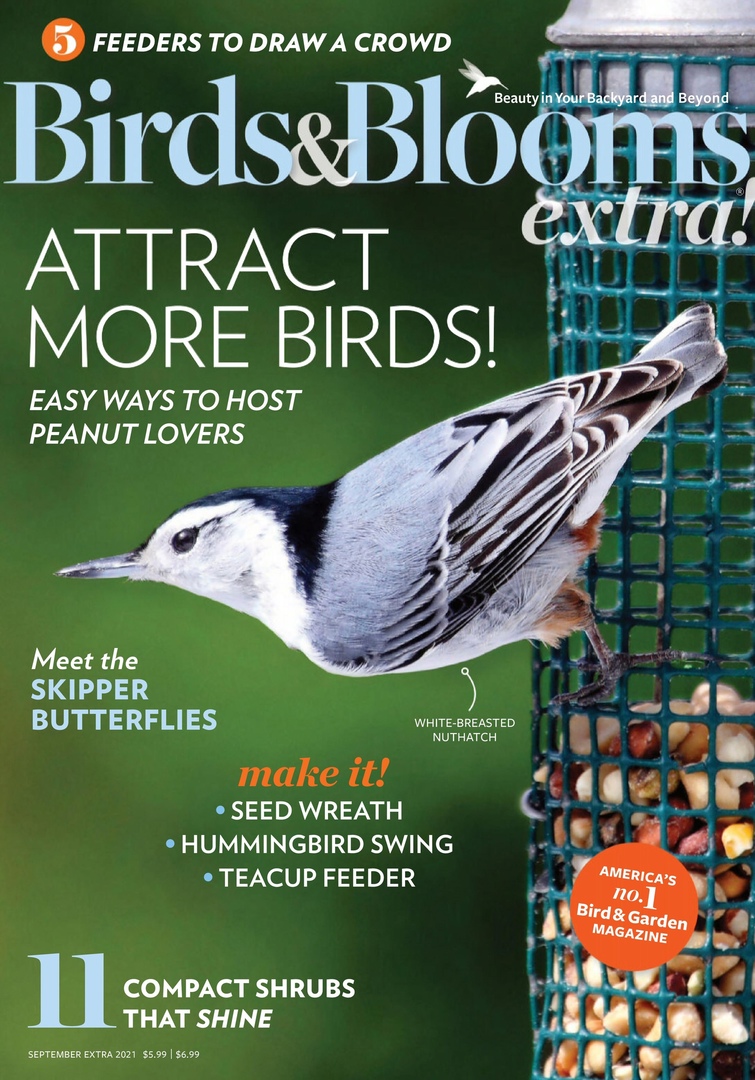 Birds & Blooms Extra Magazine