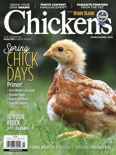 Chickens Magazine