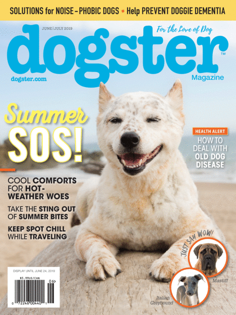 Dogster Magazine