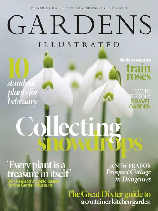 BBC Gardens Illustrated Magazine