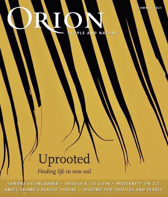 Orion Magazine