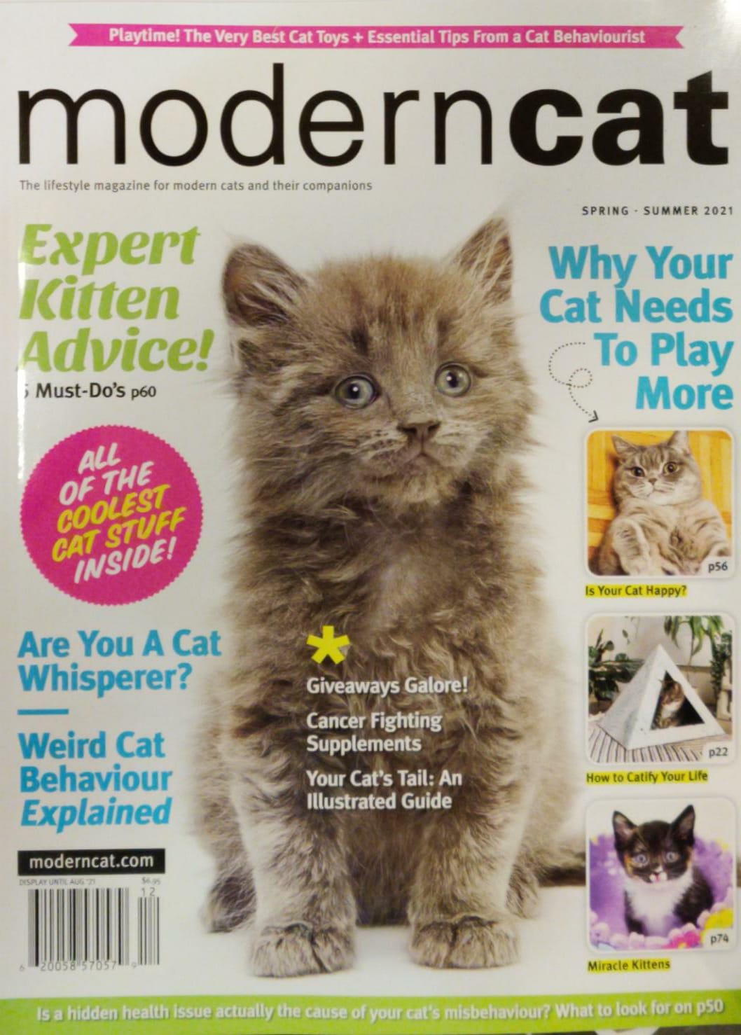 Modern Cat Magazine