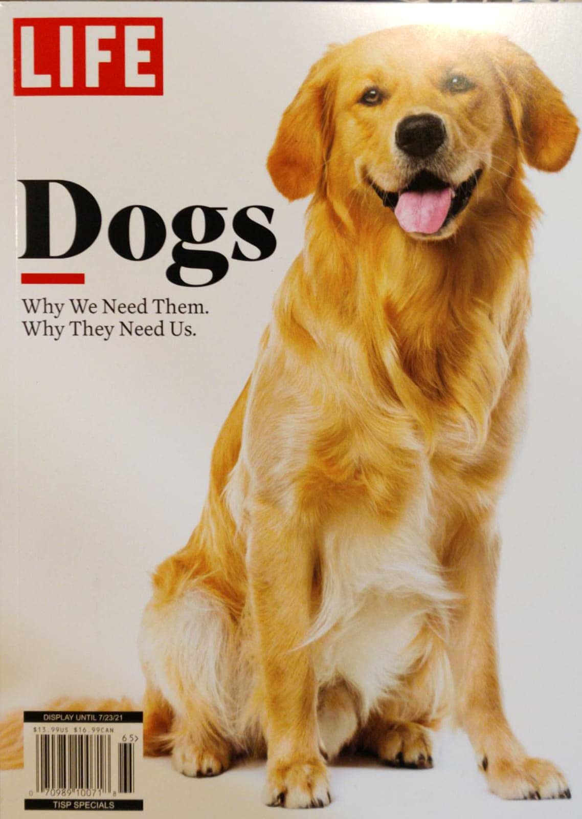 Life Dogs Magazine