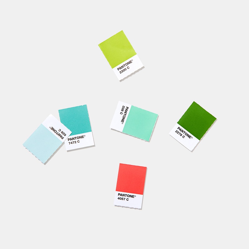 GP1606A-pantone-pms-spot-color-chip-book-solid-chips-coated-and-uncoated-books-product-4