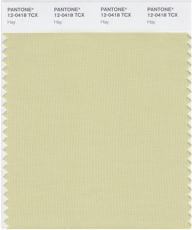 Pantone Smart 12-0418 TCX Color Swatch Card | Hay 