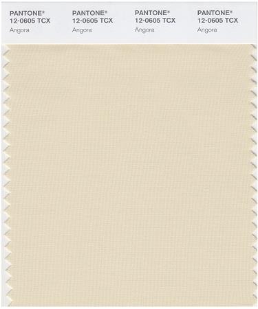 Pantone Smart 12-0605 TCX Color Swatch Card | Angora 