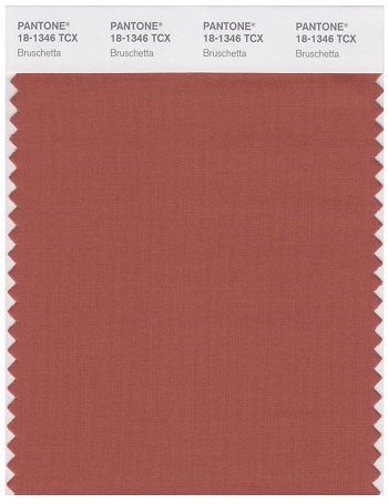 Pantone Smart 18-1346 TCX Color Swatch Card | Bruschetta 