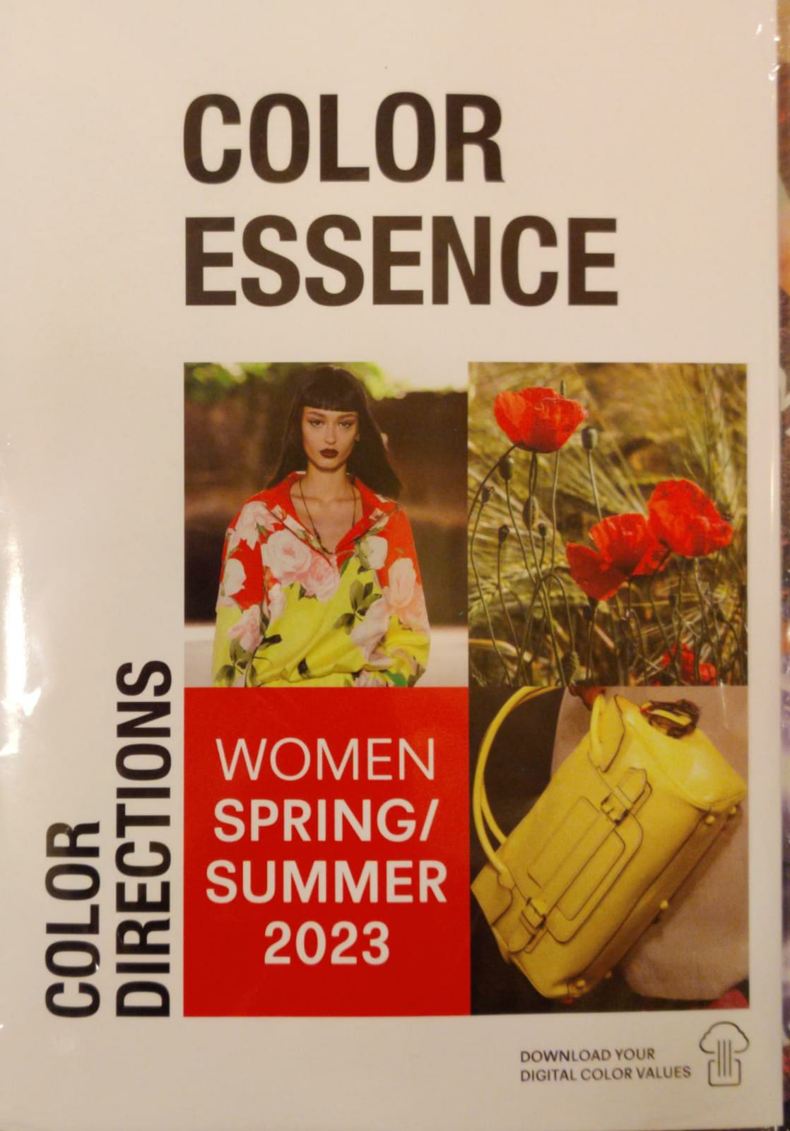 Color Essence Women Magazine