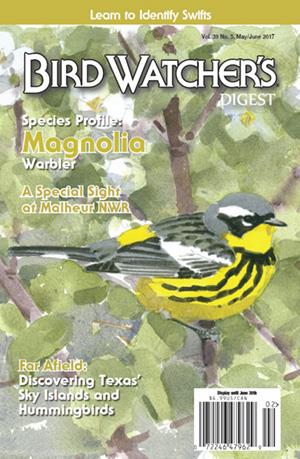 Birdwatchers Magazine