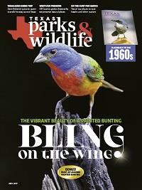 Texas Park & Wildlife Magazine