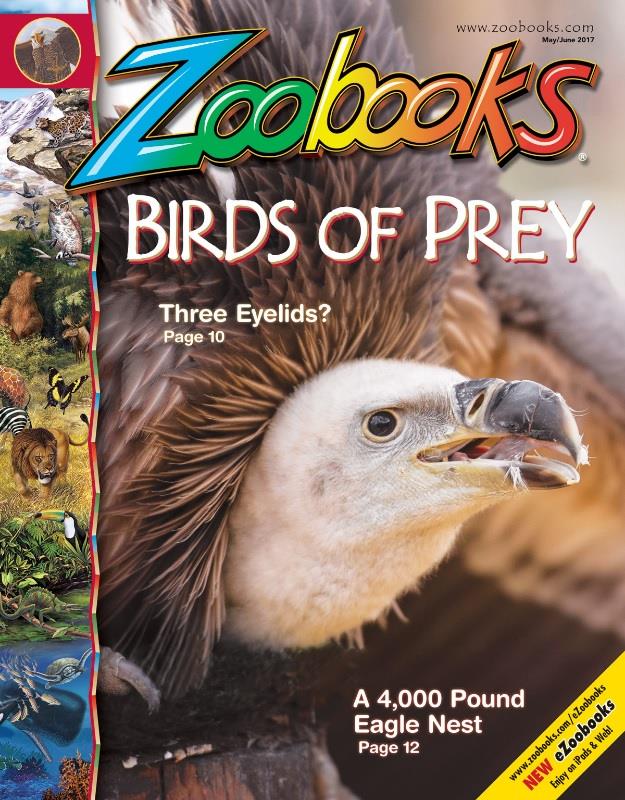 Zoo Books Magazine