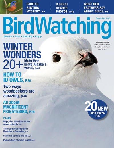 BirdWatching Magazine