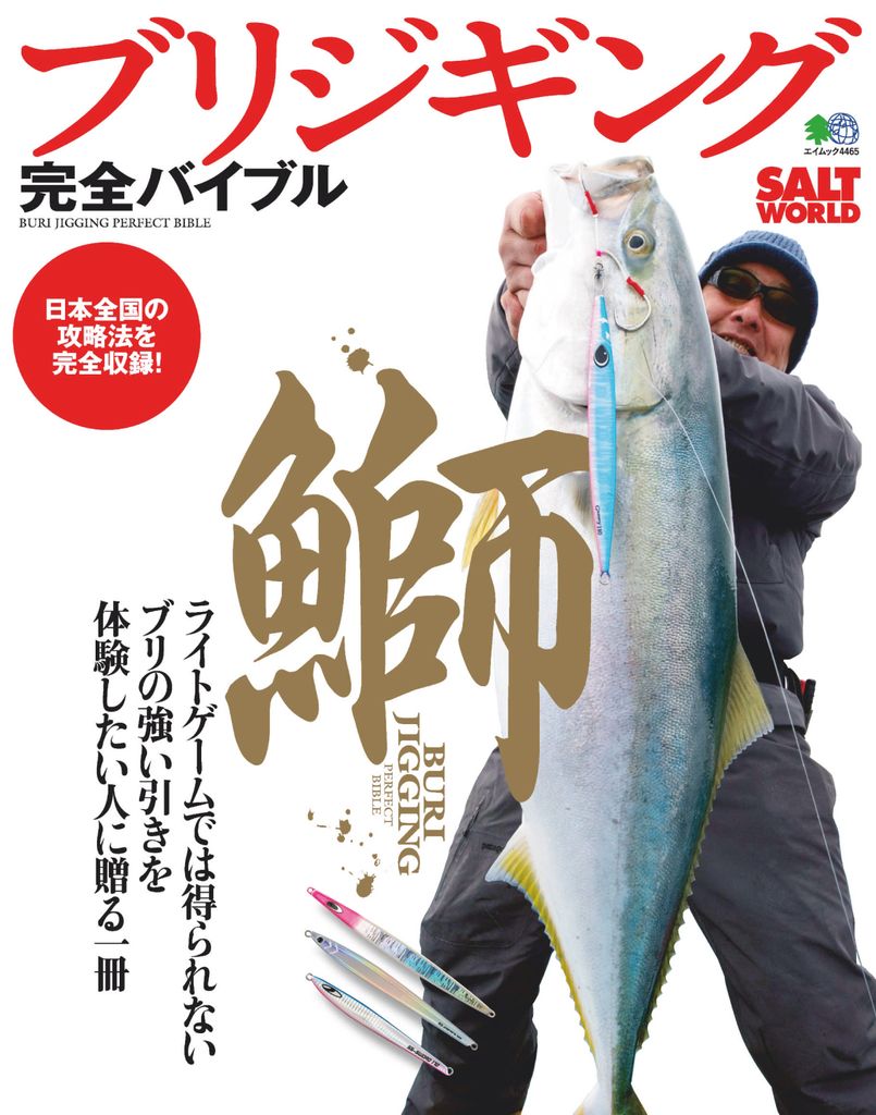 ブリジギング完全バイブル Magazine