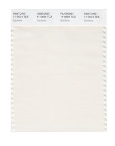 Pantone Smart 11-0604 TCX Color Swatch Card 