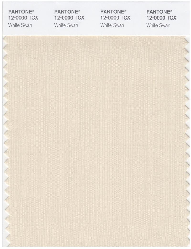 Pantone Smart 12-0000 TCX Color Swatch Card | White Swan 