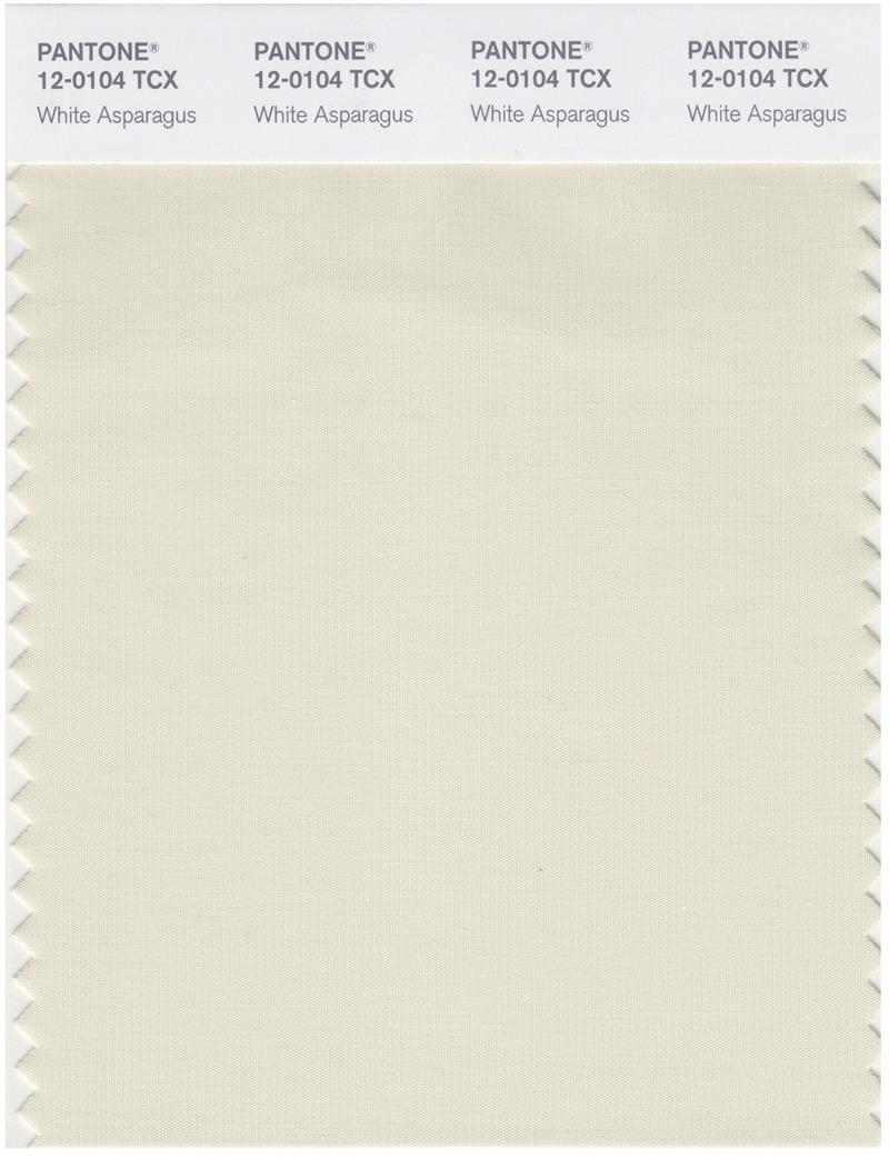 Pantone Smart 12-0104 TCX Color Swatch Card | White Asparagus 