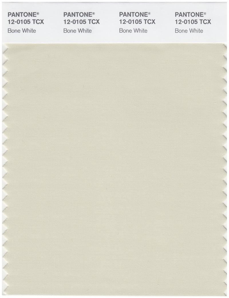 Pantone Smart 12-0105 TCX Color Swatch Card | Bone White 