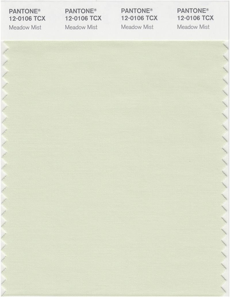 Pantone Smart 12-0106 TCX Color Swatch Card | Meadow Mist 