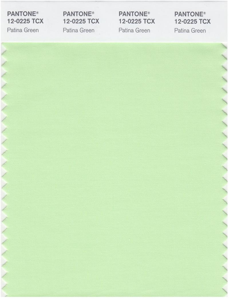 Pantone Smart 12-0225 TCX Color Swatch Card | Patina Green 