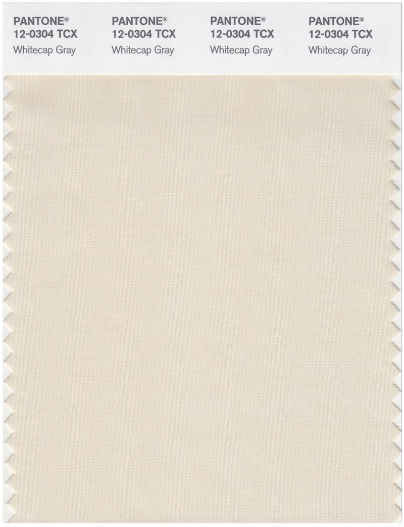 Pantone Smart 12-0304 TCX Color Swatch Card | Whitecap Gray 