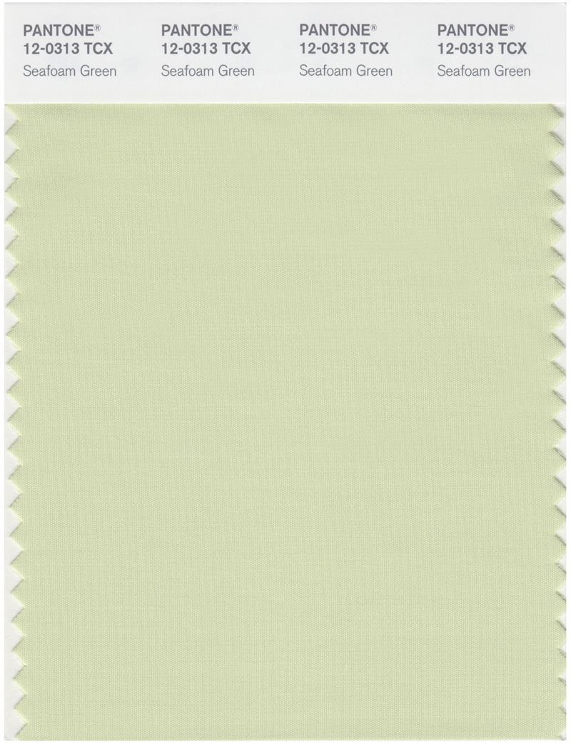 Pantone Smart 12-0313 TCX Color Swatch Card | Seafoam Green 