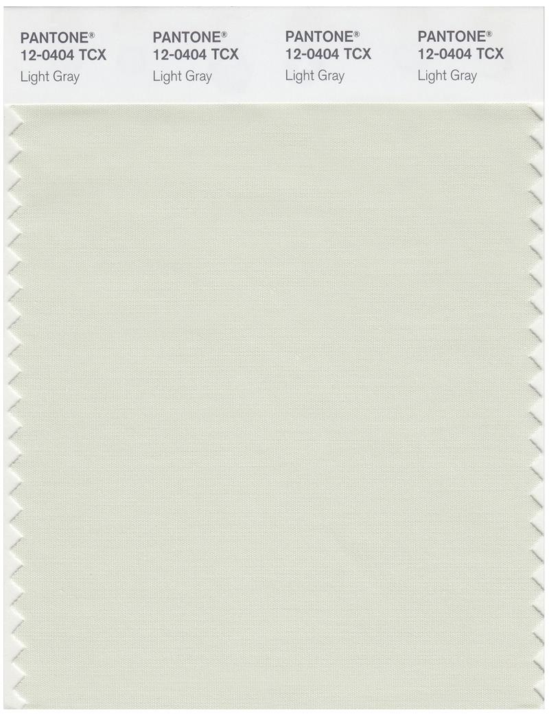 Pantone Smart 12-0404 TCX Color Swatch Card | Light Gray 