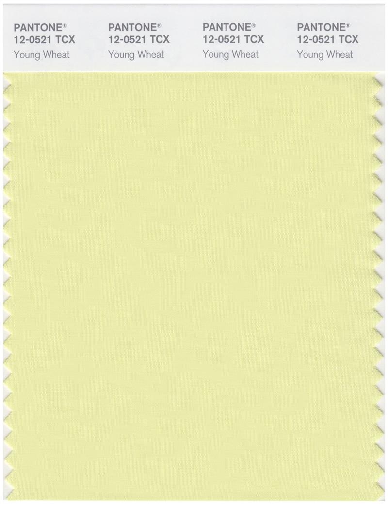 Pantone Smart 12-0521 TCX Color Swatch Card | Young Wheat 