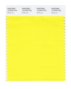 Pantone Swatch 12-0752 TCX Color Swatch Card 