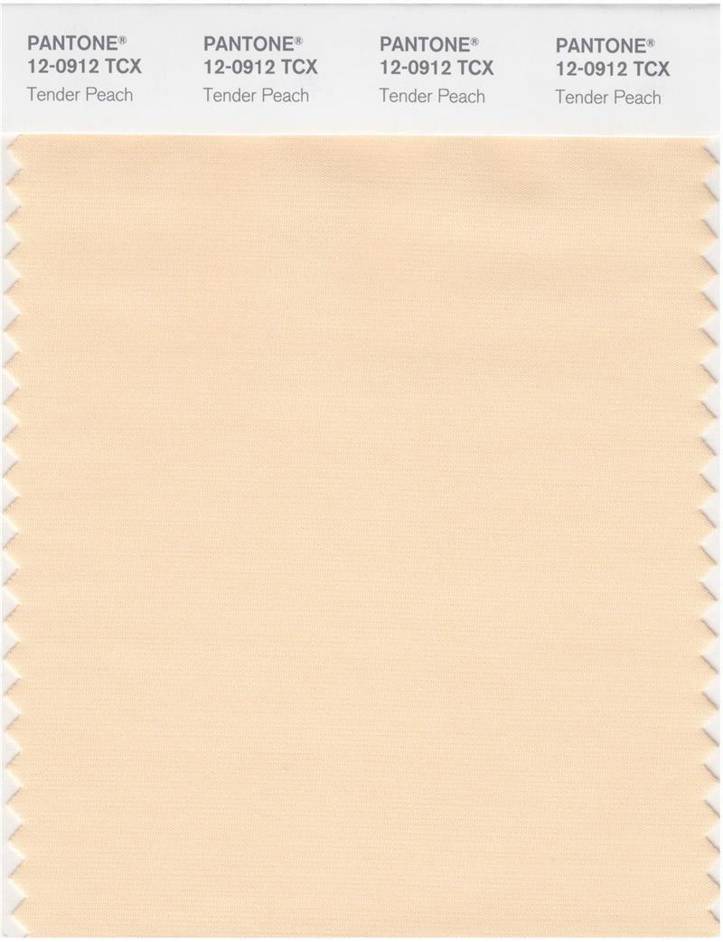 Pantone Smart 12-0912 TCX Color Swatch Card | Tender Peach 