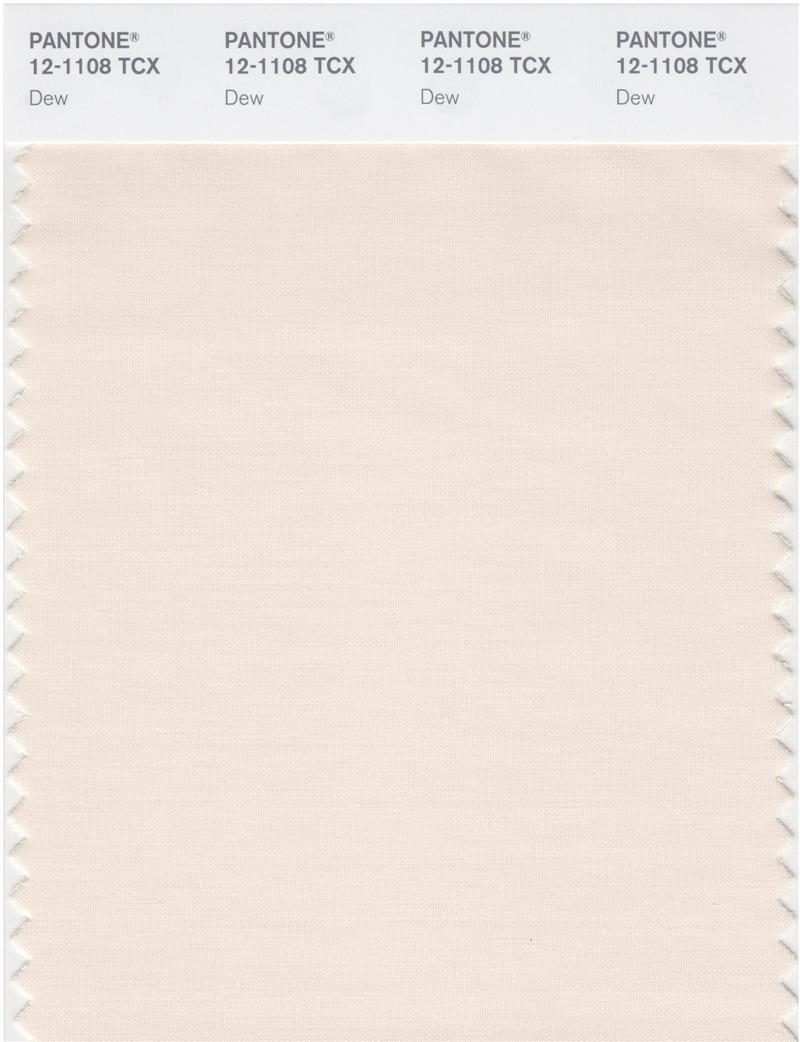 Pantone Smart 12-1108 TCX Color Swatch Card | Dew 