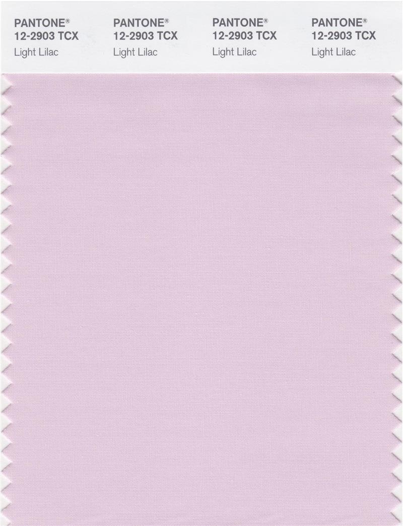 Pantone Smart 12-2903 TCX Color Swatch Card | Light Lilac 