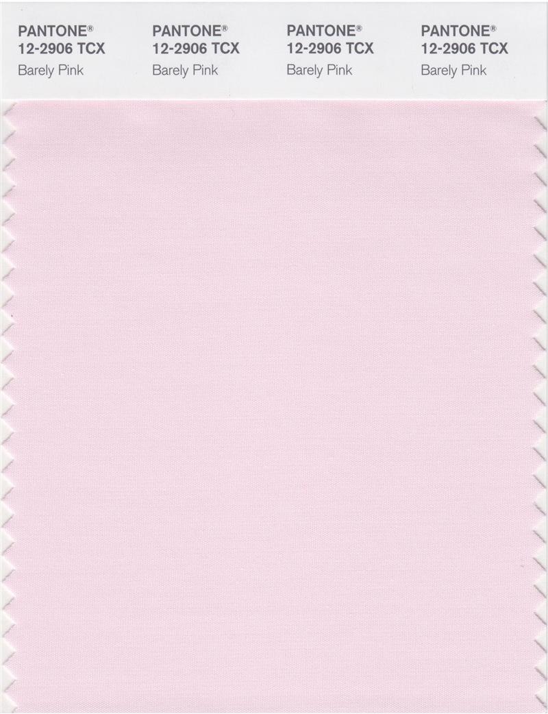 Pantone Smart 12-2906 TCX Color Swatch Card | Barely Pink 