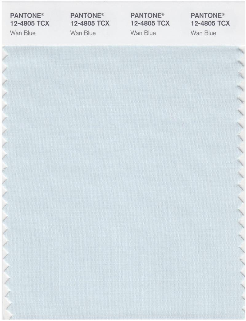 Pantone Smart 12-4805 TCX Color Swatch Card | Wan Blue 