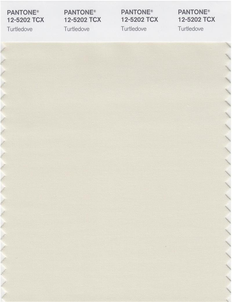 Pantone Smart 12-5202 TCX Color Swatch Card | Turtledove 