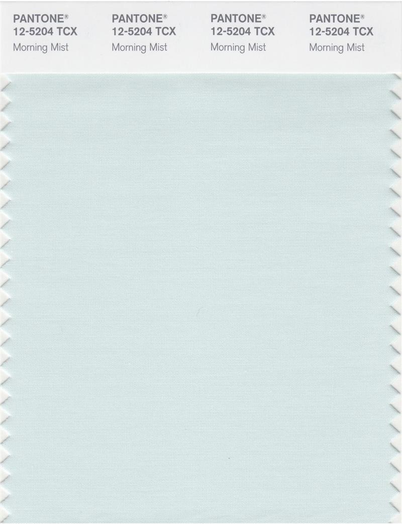 Pantone Smart 12-5204 TCX Color Swatch Card | Morning Mist 