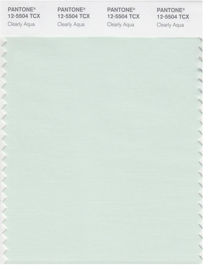 Pantone Smart 12-5504 TCX Color Swatch Card | Clearly Aqua 