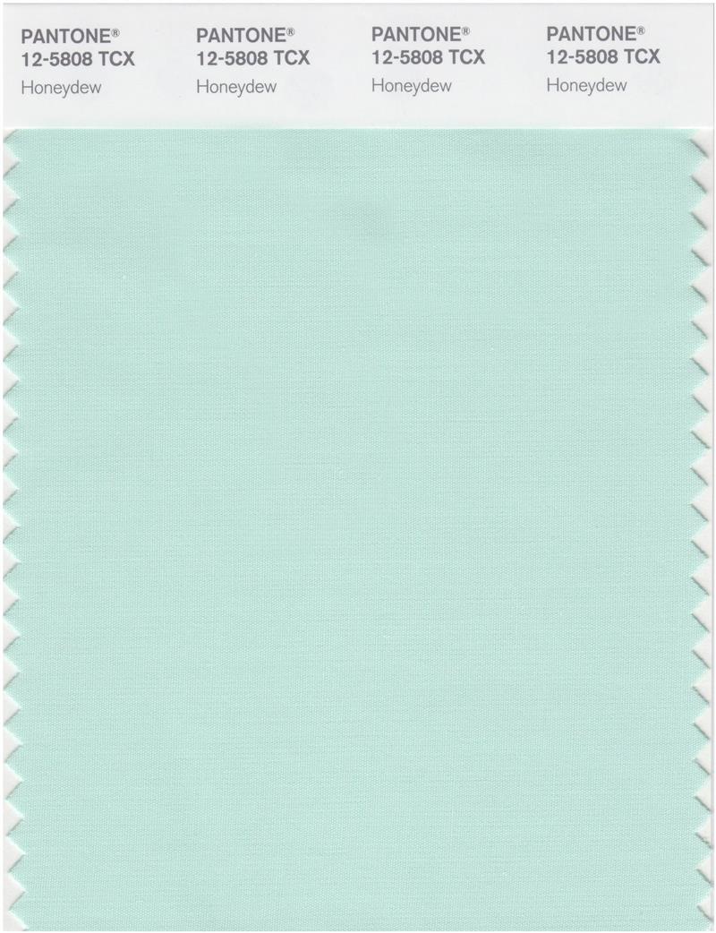 Pantone Smart 12-5808 TCX Color Swatch Card | Honeydew 