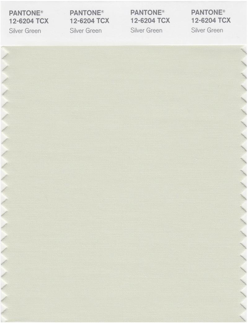 Pantone Smart 12-6204 TCX Color Swatch Card | Silver Green 