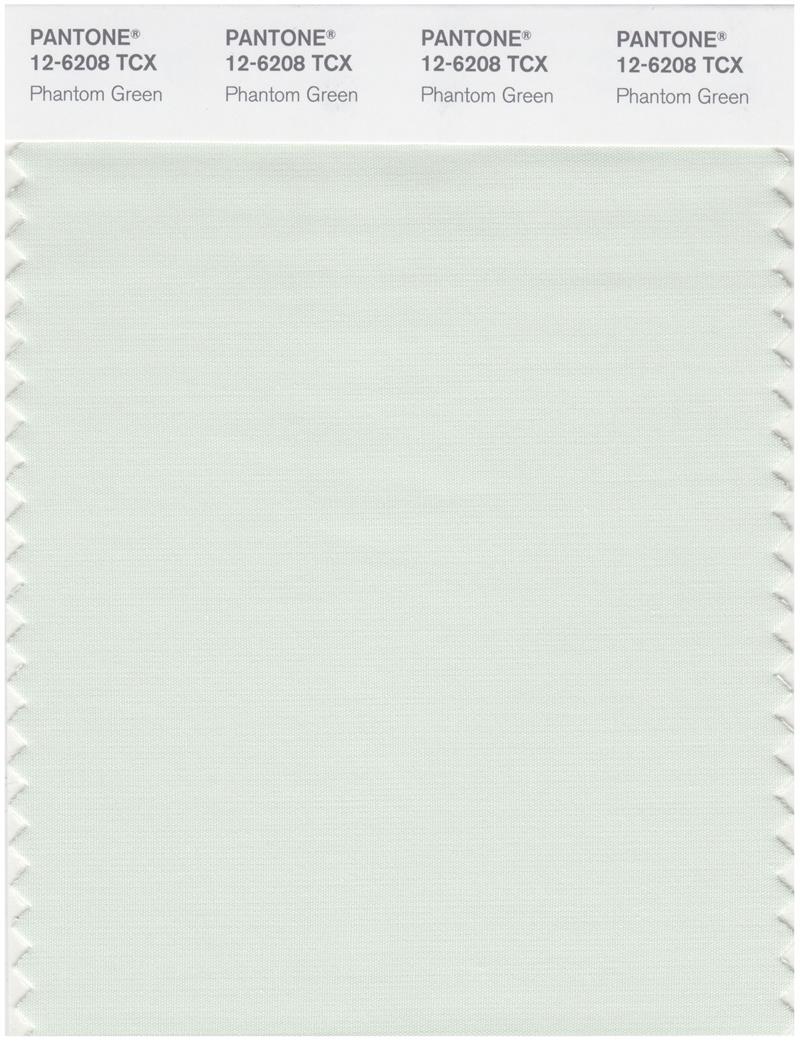 Pantone Smart 12-6208 TCX Color Swatch Card | Phantom Green 