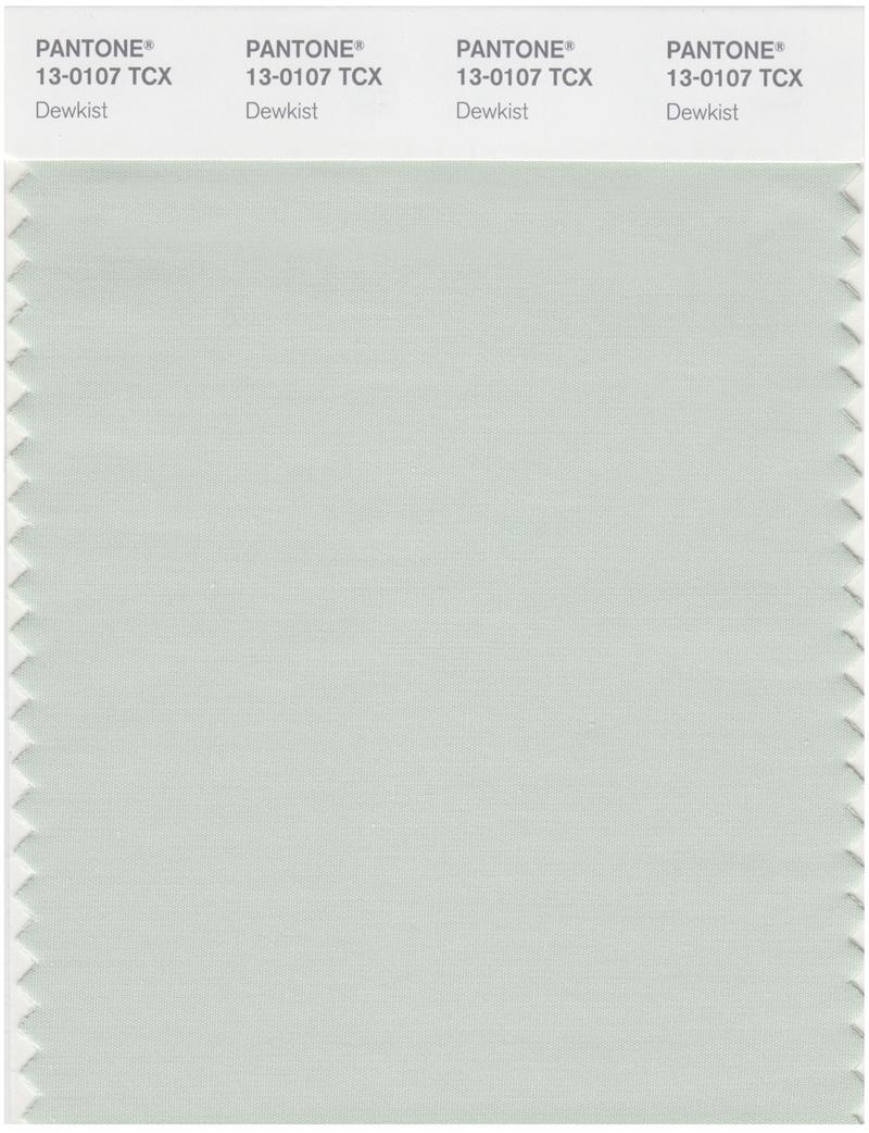 Pantone Smart 13-0107 TCX Color Swatch Card | Dewkist 