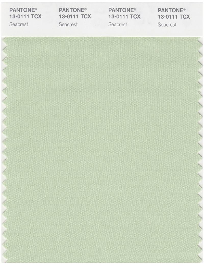 Pantone Smart 13-0111 TCX Color Swatch Card | Seacrest 