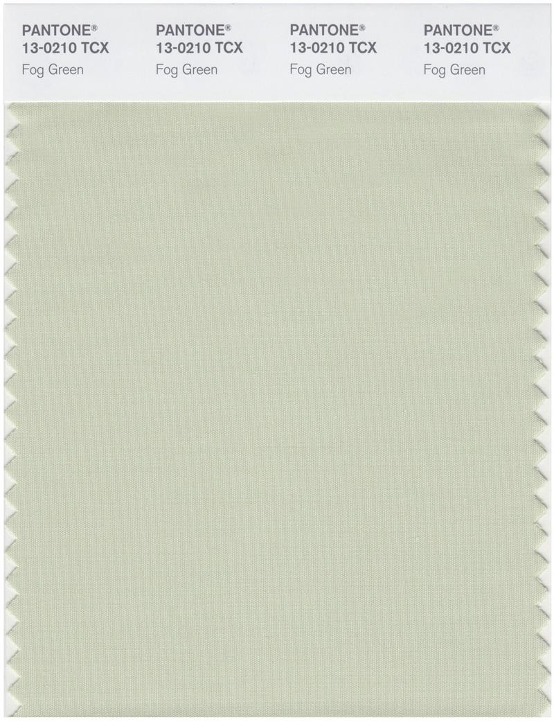 Pantone Smart 13-0210 TCX Color Swatch Card | Fog Green 