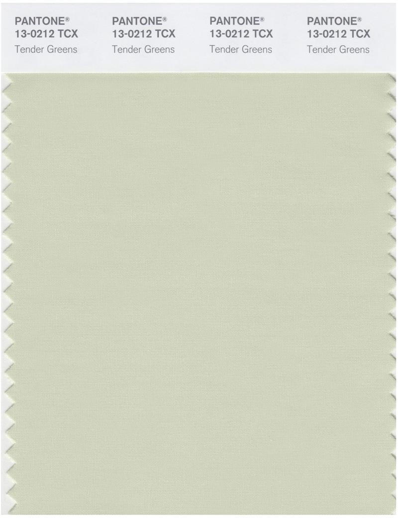 Pantone Smart 13-0212 TCX Color Swatch Card | Tender Greens 