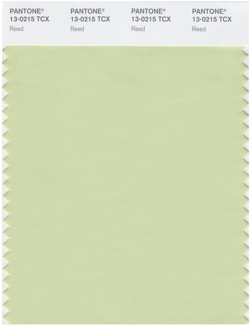 Pantone Smart 13-0215 TCX Color Swatch Card | Reed 