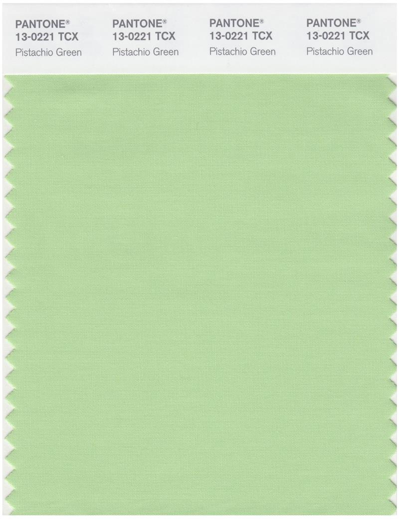 Pantone Smart 13-0221 TCX Color Swatch Card | Pistachio Green 