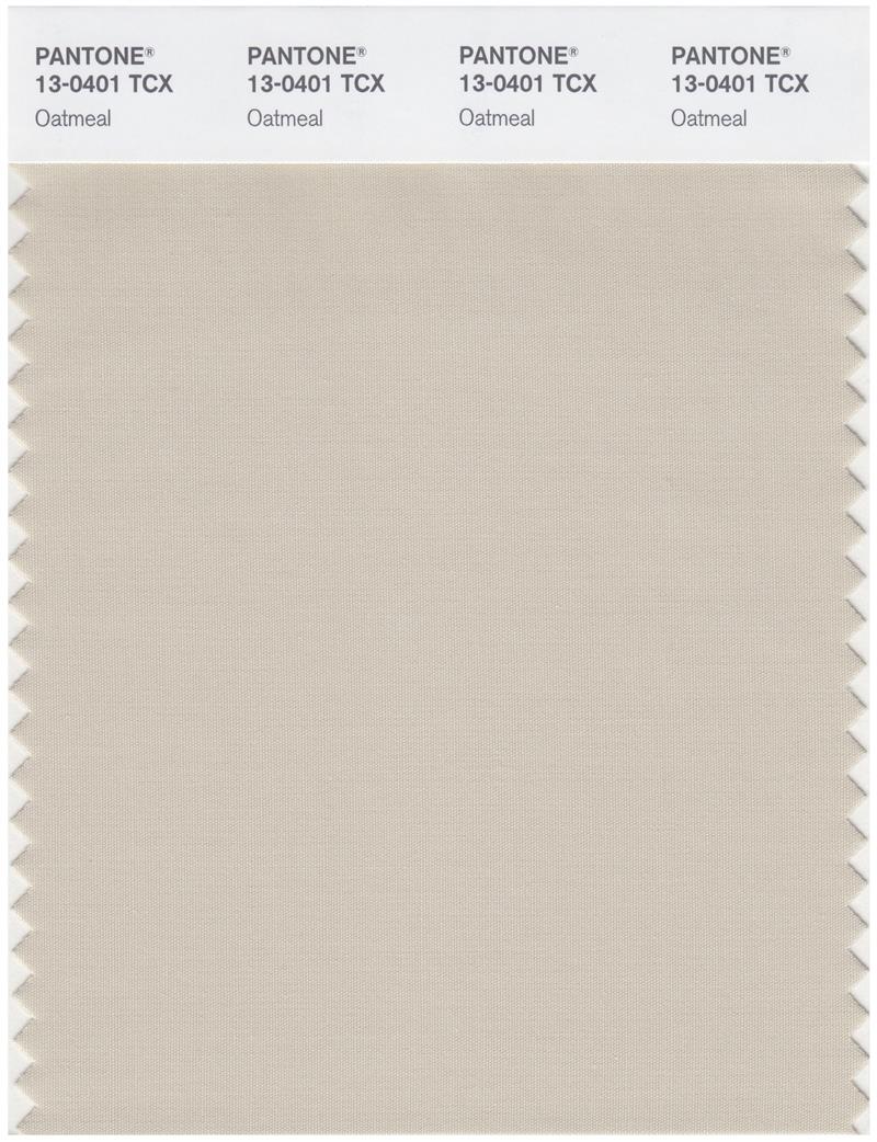 Pantone Smart 13-0401 TCX Color Swatch Card | Oatmeal 