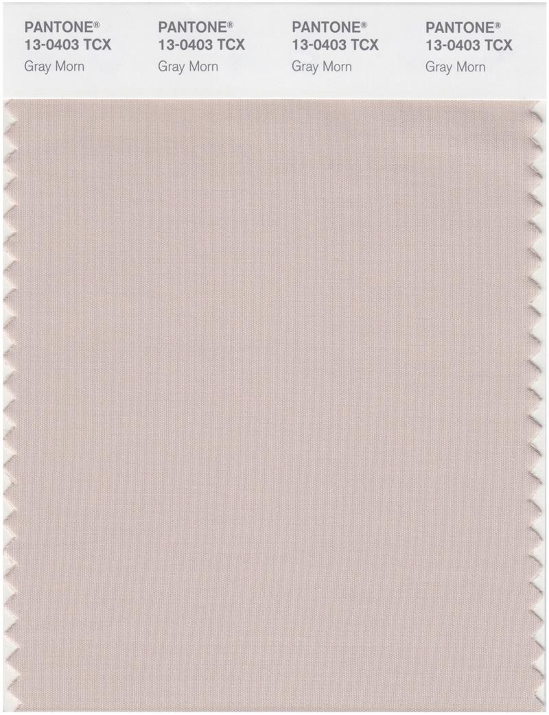 Pantone Smart 13-0403 TCX Color Swatch Card | Gray Morn 