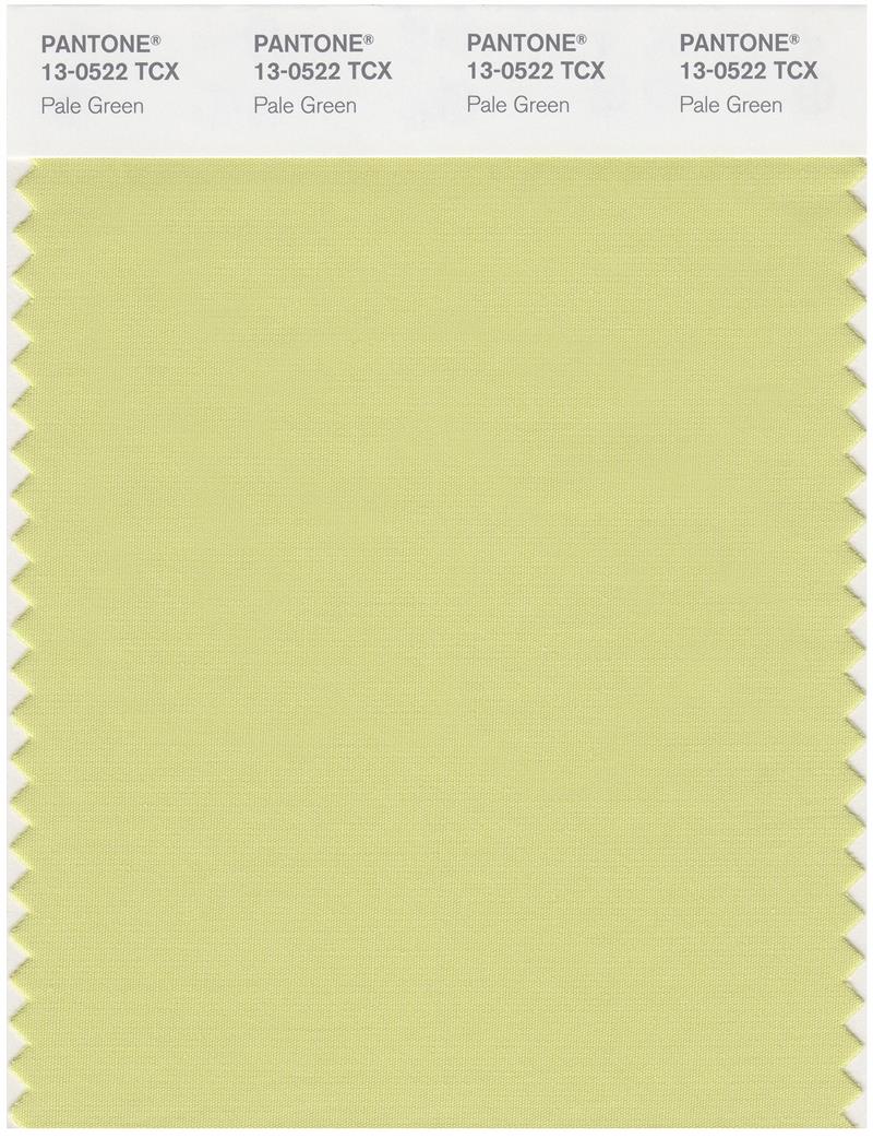 Pantone Smart 13-0522 TCX Color Swatch Card | Pale Green 