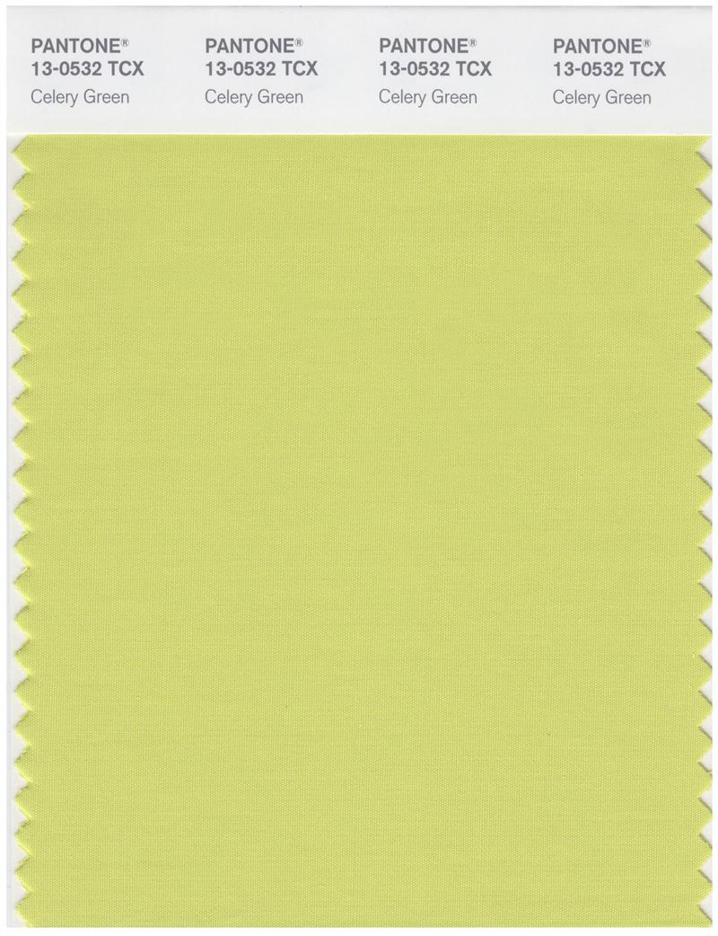 Pantone Smart 13-0532 TCX Color Swatch Card | Celery Green 