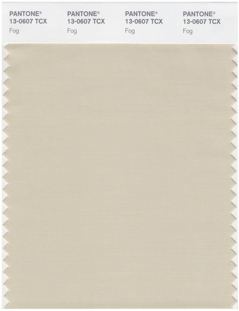 Pantone Smart 13-0607 TCX Color Swatch Card | Fog 